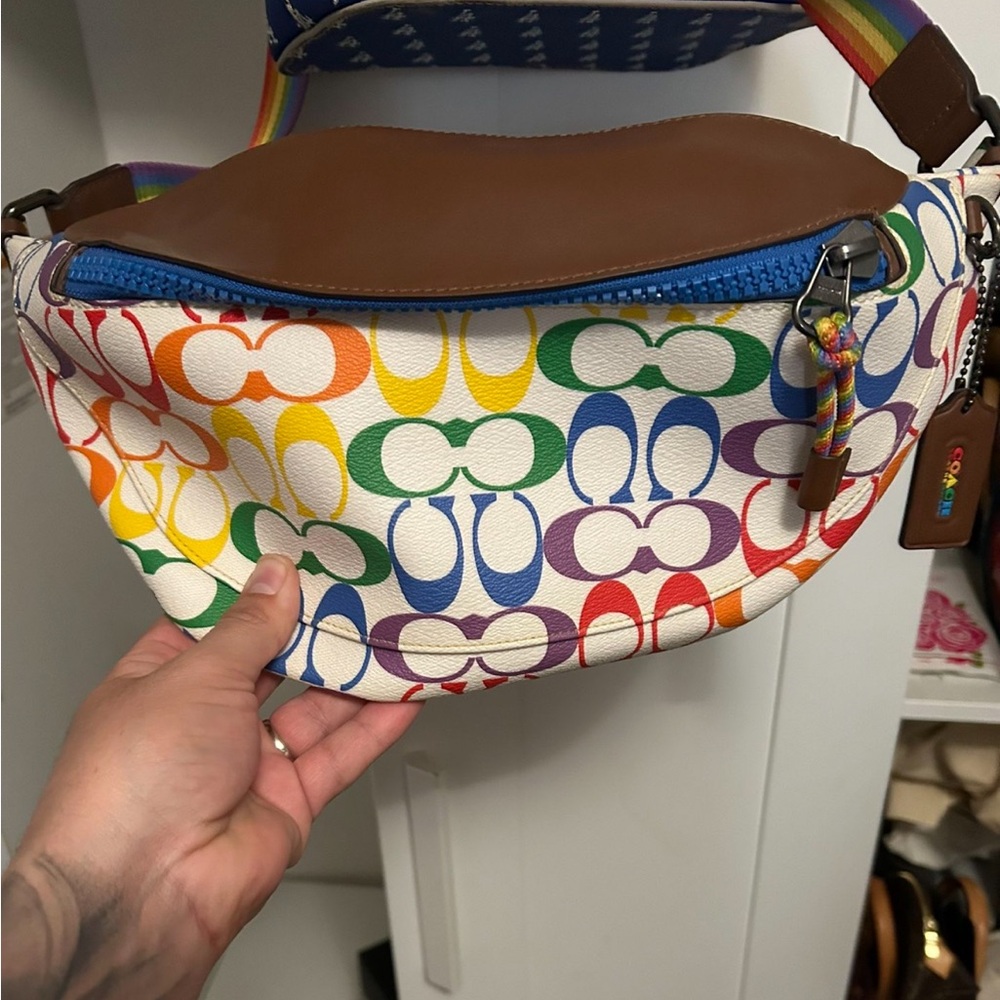 Colorful Designer Women's Bag